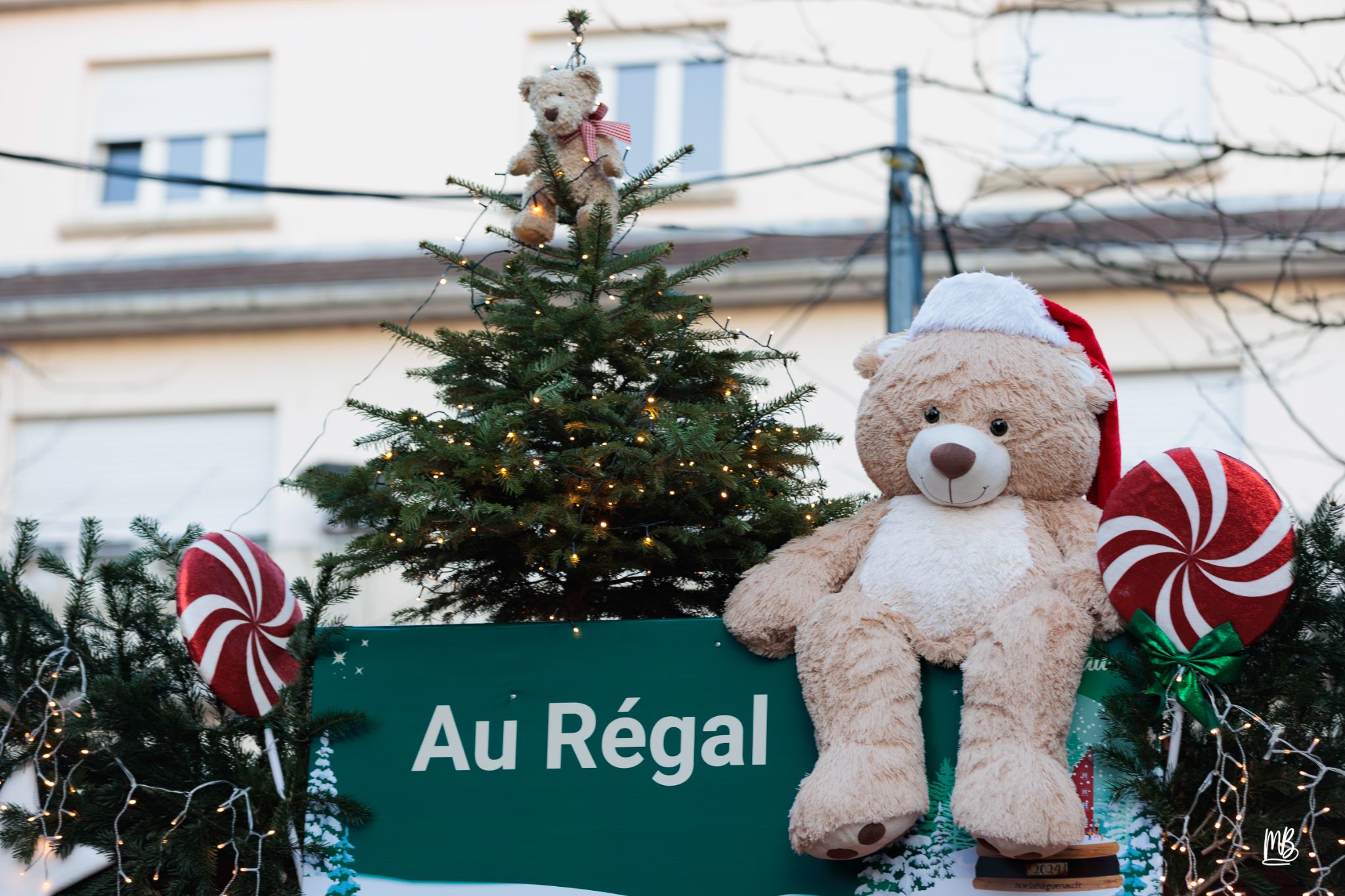 20241129 Noël à Haguenau MB (40 sur 114)
